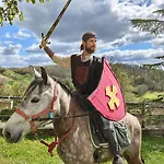 Bed and Breakfast Halte De D'artagnan *