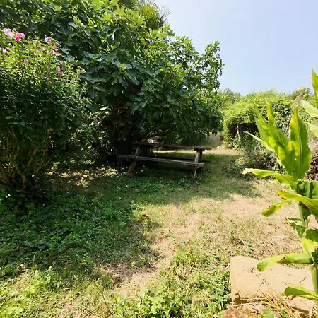 B&B Halte De D'artagnan *