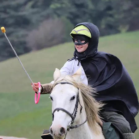 Halte De D'artagnan Alojamento de Acomodação e Pequeno-almoço Saint-Christaud (Gers)