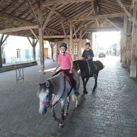 Halte De D'artagnan *