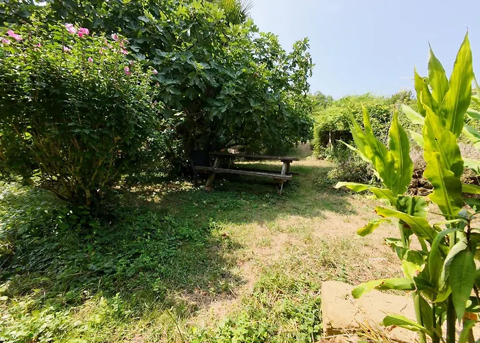 B&B Halte De D'artagnan *